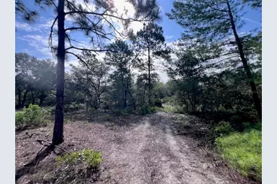 10686 N Statue Point, Dunnellon, FL 34433 - Photo 19