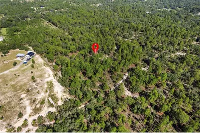 10686 N Statue Point, Dunnellon, FL 34433 - Photo 3