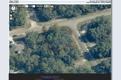 1230 W Lorraine Drive, Citrus Springs, FL 34434 - Photo 3