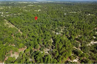 10806 N Statue Point, Dunnellon, FL 34433 - Photo 5