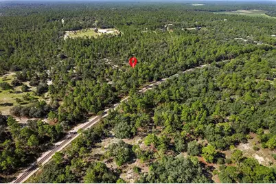 10806 N Statue Point, Dunnellon, FL 34433 - Photo 3