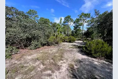 10806 N Statue Point, Dunnellon, FL 34433 - Photo 17