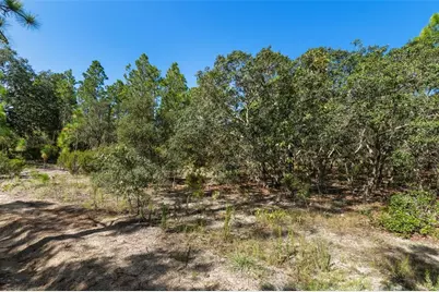 10806 N Statue Point, Dunnellon, FL 34433 - Photo 13