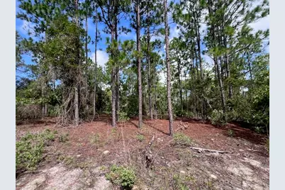 10806 N Statue Point, Dunnellon, FL 34433 - Photo 15