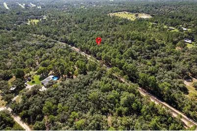 10806 N Statue Point, Dunnellon, FL 34433 - Photo 11