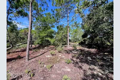 10806 N Statue Point, Dunnellon, FL 34433 - Photo 21