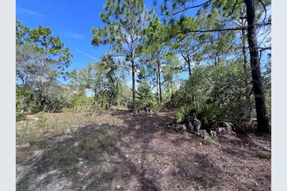 10806 N Statue Point, Dunnellon, FL 34433 - Photo 19