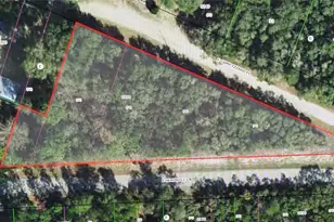 4114 E Camp Izzard Pl, Dunnellon, FL 34434 - Photo 1