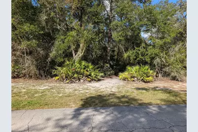 4114 E Camp Izzard Place, Dunnellon, FL 34434 - Photo 9