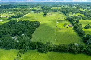 5170 SE Hwy 42, Summerfield, FL 34491 - Photo 43