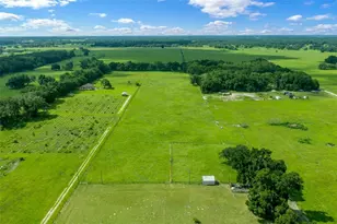 5170 SE Hwy 42, Summerfield, FL 34491 - Photo 39