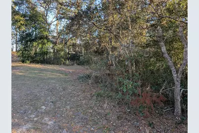 8949 N Lansen Way, Citrus Springs, FL 34433 - Photo 3