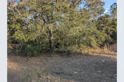 8949 N Lansen Way, Citrus Springs, FL 34433 - Photo 5