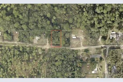 North Road, Altoona, FL 32702 - Photo 3