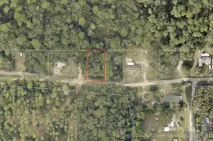 North Rd, Altoona, FL 32702 - Photo 1