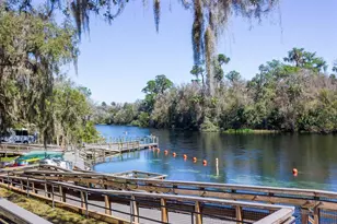 7695 SW 188th Ave, Dunnellon, FL 34432 - Photo 65