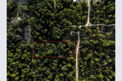 Tbd NE 50th Lane, Williston, FL 32696 - Photo 7