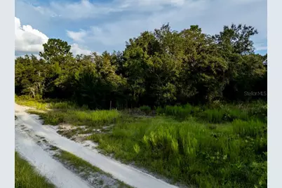 Tbd NE 50th Lane, Williston, FL 32696 - Photo 3