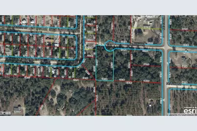 Tbd NE 50th Lane, Williston, FL 32696 - Photo 5