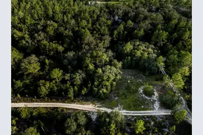 Tbd NE 50th Lane, Williston, FL 32696 - Photo 15