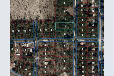 Lot 2 NE 100th Court, Bronson, FL 32621 - Photo 3