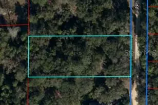 Lot 2 NE 100th Ct, Bronson, FL 32621 - Photo 1