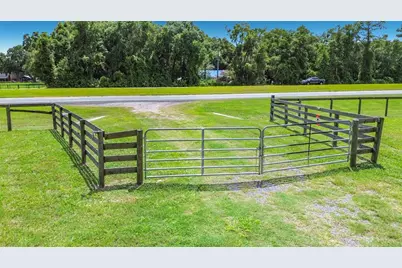 15450 NE Highway 27 Alt, Williston, FL 32696 - Photo 17