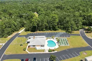 8385 N Shady Fork Way, Dunnellon, FL 34433 - Photo 37
