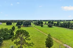 1947 NW 102nd Blvd, Wildwood, FL 34785 - Photo 5