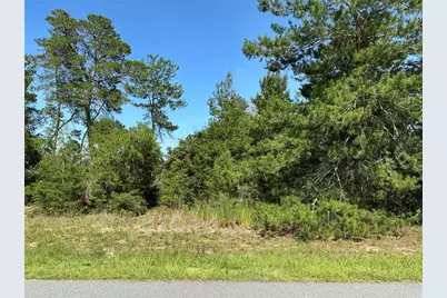 12995 SW 35th Avenue Road, Ocala, FL 34473 - Photo 1