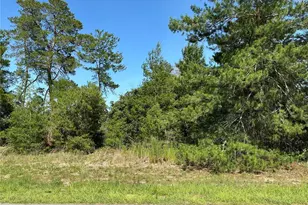 12995 SW 35th Ave Rd, Ocala, FL 34473 - Photo 1