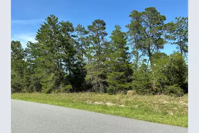 12995 SW 35th Avenue Road, Ocala, FL 34473 - Photo 3