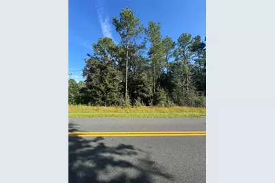 Tbd SW Beach Blvd, Dunnellon, FL 34431 - Photo 1