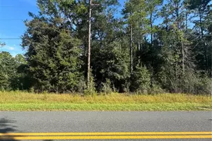 Tbd SW Beach Blvd, Dunnellon, FL 34431 - Photo 1