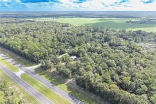 8030 SE 153rd St, Inglis, FL 34449 - Photo 39