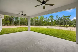 8396 SW 125th Ct Rd, Dunnellon, FL 34432 - Photo 9