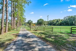 2195 NE 165th St, Citra, FL 32113 - Photo 3
