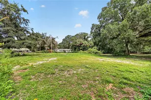 10195 NW 160th St, Reddick, FL 32686 - Photo 17