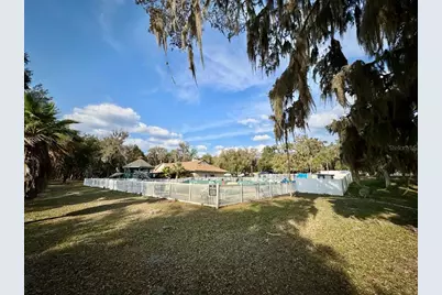 25225 NE 141st Lane NE, Salt Springs, FL 32134 - Photo 9