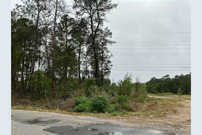 16914 SW 44th Circle, Ocala, FL 34473 - Photo 3
