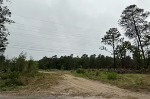 16914 SW 44th Cir, Ocala, FL 34473 - Photo 1