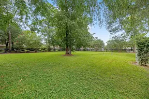 5592 NE 61st Ave Rd, Silver Springs, FL 34488 - Photo 37