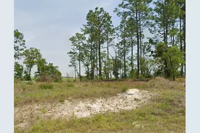 23949 NW Falcon Avenue, Dunnellon, FL 34431 - Photo 1