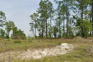 23949 NW Falcon Ave, Dunnellon, FL 34431 - Photo 1