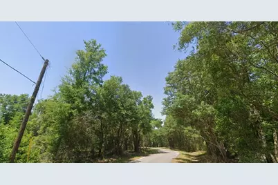 77 Bay Court Pass, Ocklawaha, FL 32179 - Photo 3