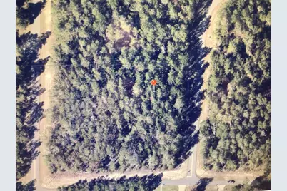 0 SW 35 Terrace Road, Ocala, FL 34473 - Photo 5