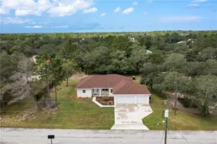 8451 Nuzum Rd, Weeki Wachee, FL 34613 - Photo 43