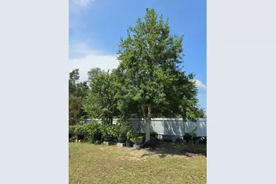 3910 SW 103rd Street Road, Ocala, FL 34476 - Photo 31