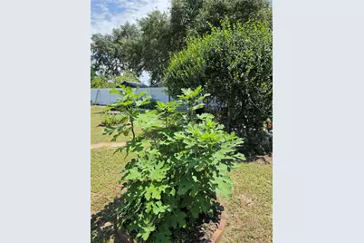 3910 SW 103rd Street Road, Ocala, FL 34476 - Photo 27