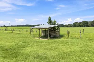 22241 NW 6th St, Dunnellon, FL 34431 - Photo 41